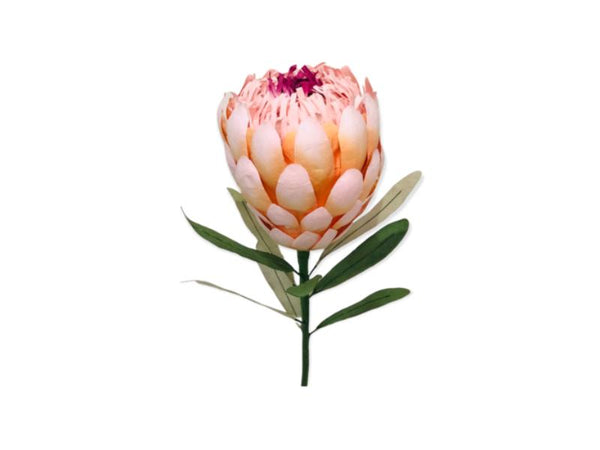 Paper Flower - Princess Protea - Peach/Pink/Purple