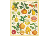 Jigsaw Puzzle - Citrus - 1000Pc