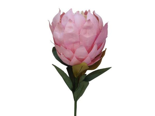 Paper Flower - King Protea - Pink/Cream