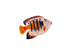 Dorito Fish Wall Art - Jones & Co