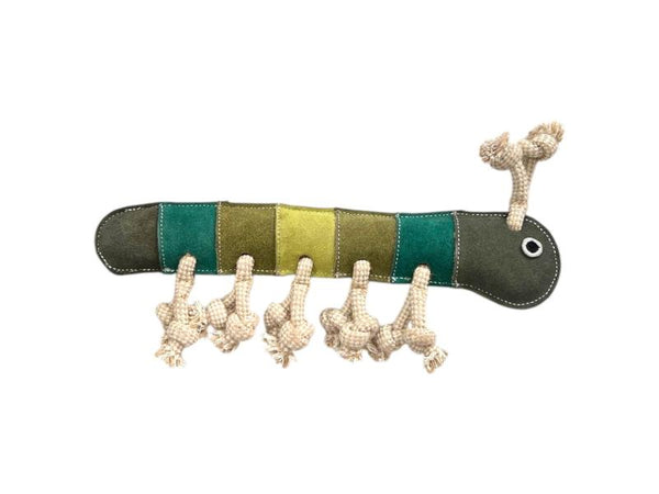 Dog Toy - Gerti the Greeny Grub