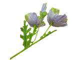 Poppy Garden - Mauve, Green Petals / Pink, Green Centre