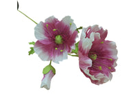 Poppy Garden - Pink, White Petals / Pink, Green Centre