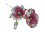 Poppy Garden - Pink, White Petals / Pink, Green Centre