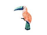 Canopy - Toucan Peach Wall Art - Jones & Co