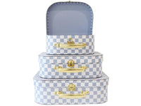 Kids Carry Case - Blue Check - Small - Alimrose