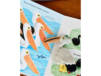 Busy Beaks Finger Puppets and Book Set by Sarah Allen