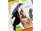Busy Beaks Finger Puppets and Book Set by Sarah Allen