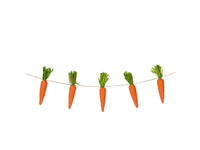 Carrot Garland - 120cm