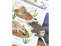 Jumping Joeys - Finger Puppets and Book Set by Sarah Allen
