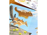 Jumping Joeys - Finger Puppets and Book Set by Sarah Allen