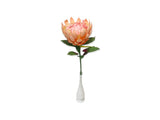 Paper Flower - King Protea - Apricot