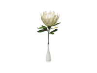 Paper Flower - King Protea - White