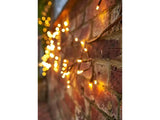 Ivy Light Garland - Solar and Electric