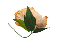 Giant Paper Flower - Apricot