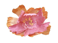 Giant Paper Flower - Apricot