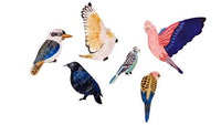 Aerial Parrot Wall Art - Jones & Co