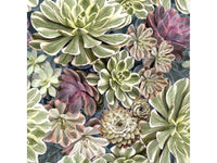 Paper Napkins -  Pack of 20 - Succulent