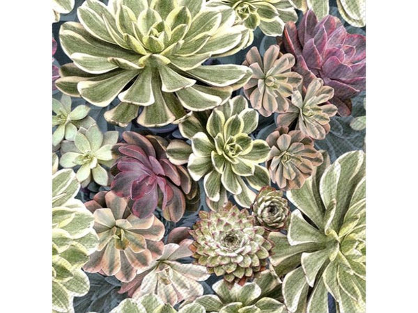 succulent cocktail napkins Paper Napkins - Pack of 20