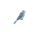 Aerial Budgie Wall Art - Jones & Co