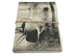 Journal - Canvas - Horse