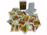 Card Game - Noah's Ark