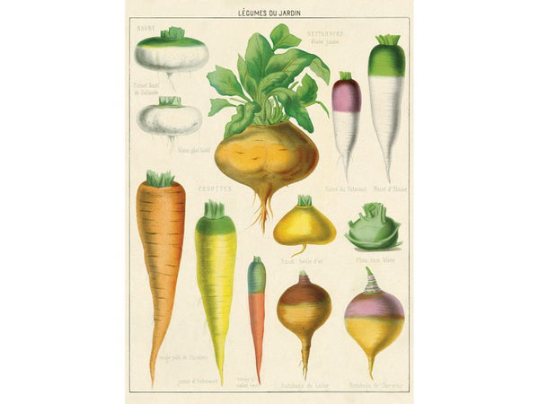 Poster or Gift Wrapping Paper - Legumes du Jardine