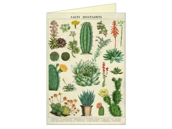Greeting Card - Succulents