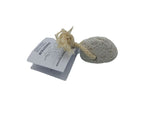 Pumice Stone