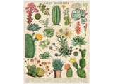 Jigsaw Puzzle - Cacti & Succulents - 1000 pc