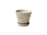 Pocket Planter - Bisque Spot - Jones & Co