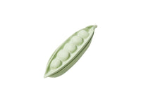Sugar Snap Box - Sage - Jones & Co.