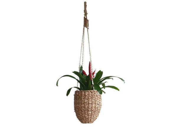 Hanging Basket - Seagrass and Jute