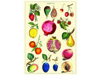 Poster or Gift Wrapping Paper - Fruit